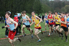 Intermediate boys 2019 New Balance English Schools Cross Country Champs, Temple Newsam, Leeds. Photo:  David T. Hewitson/Sports for All Pics